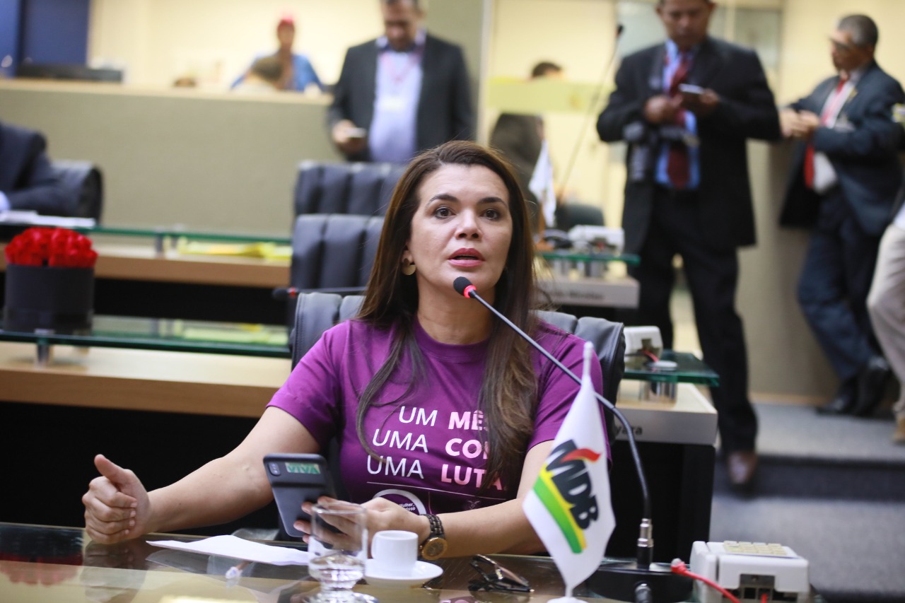 Projetos aprovados pela Assembleia priorizam saúde, servidores e economia’, diz deputada Alessandra