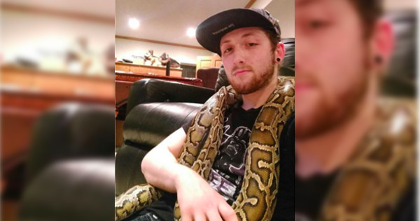Um jovem morreu asfixiado enquanto mantinha relações com sua anaconda