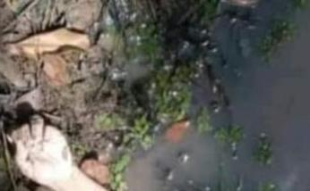 Corpo é encontrado boiando com o rosto devorado por piranhas, no Amazonas; imagem fortíssima
