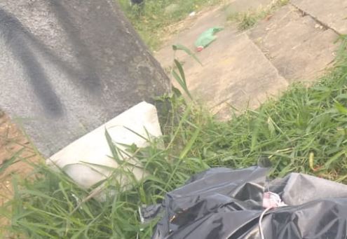 Urgente: corpo sem cabeça acaba de ser desovado em matagal da Compensa; imagem fortíssima