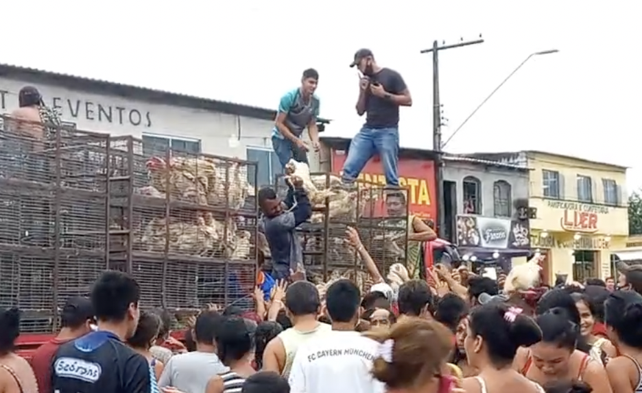 Doação de galinha gera fila quilométrica no Jorge Teixeira; veja vídeos