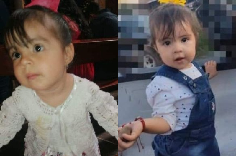 Menina de 2 anos morre após comer biscoito envenenado jogado para cachorro da família