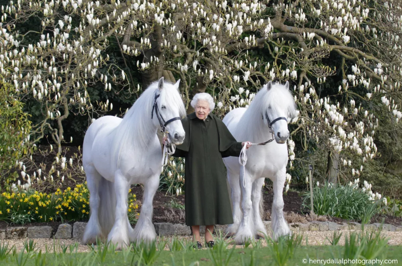 Para desespero da Fake News da Folha de S. Paulo que 'matou' a Rainha Elizabeth II, majestade completa 96 anos