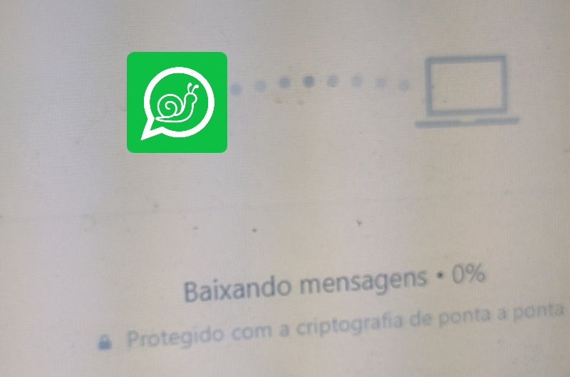 WhatsApp Web lento gera dor de cabeça e revolta internautas; entenda motivo da demora das mensagens